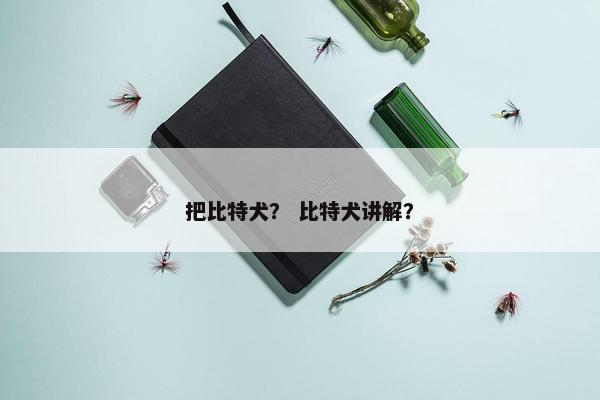 把比特犬？ 比特犬讲解？