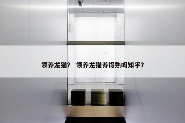 领养龙猫？ 领养龙猫养得熟吗知乎？