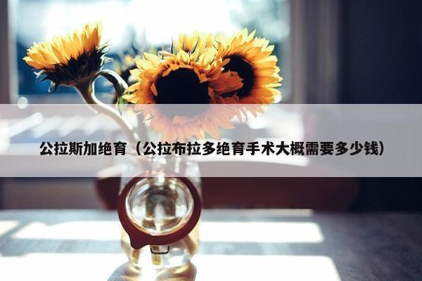 公拉斯加绝育（公拉布拉多绝育手术大概需要多少钱）