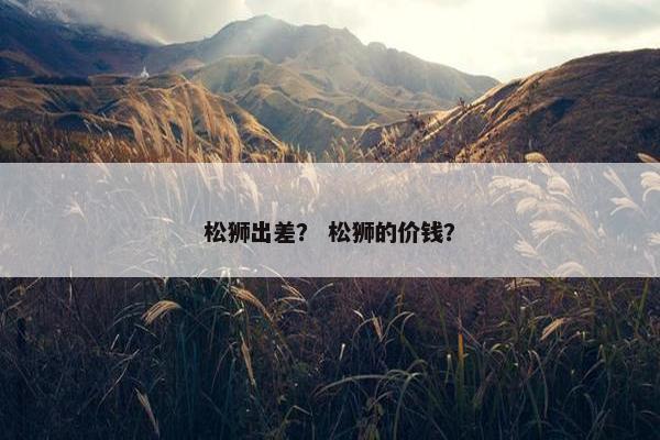 松狮出差？ 松狮的价钱？