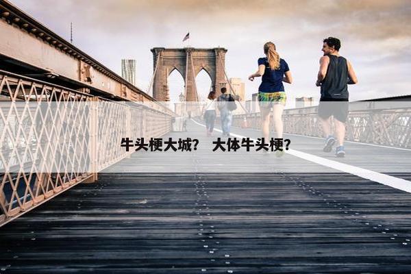 牛头梗大城？ 大体牛头梗？