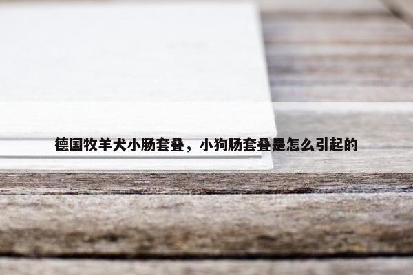 德国牧羊犬小肠套叠，小狗肠套叠是怎么引起的