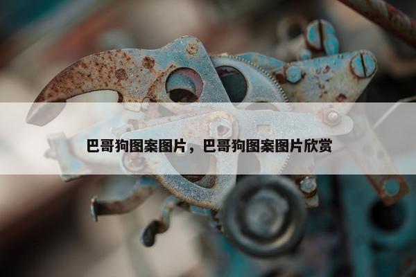 巴哥狗图案图片，巴哥狗图案图片欣赏