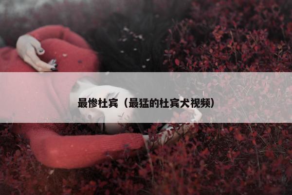 最惨杜宾（最猛的杜宾犬视频）
