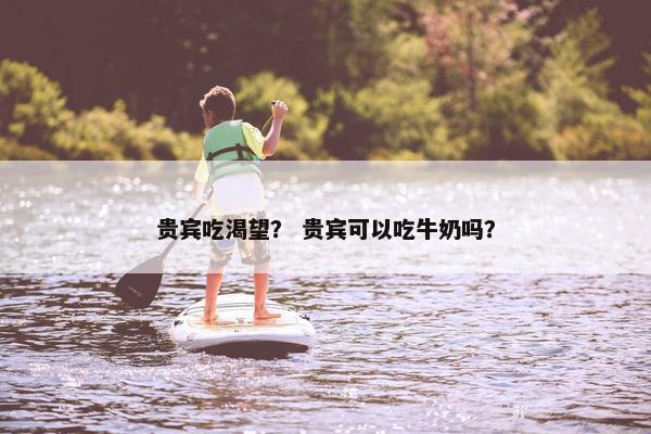 贵宾吃渴望？ 贵宾可以吃牛奶吗？