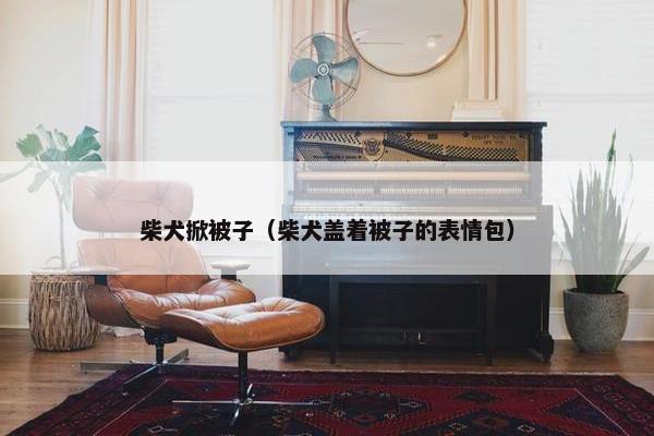 柴犬掀被子（柴犬盖着被子的表情包）