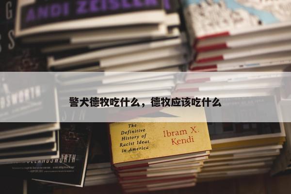 警犬德牧吃什么，德牧应该吃什么