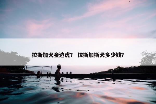 拉斯加犬金边虎？ 拉斯加斯犬多少钱？