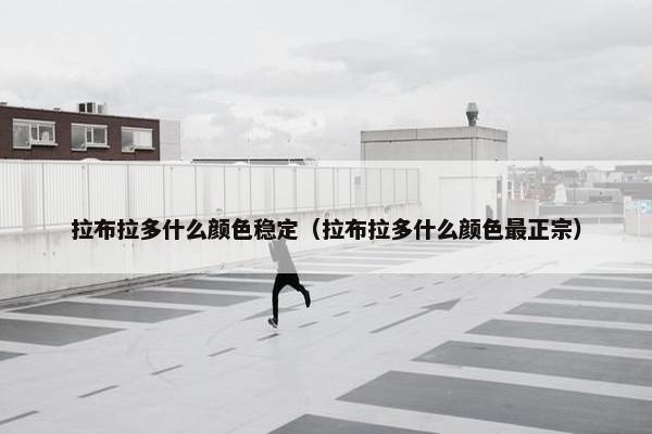 拉布拉多什么颜色稳定（拉布拉多什么颜色最正宗）