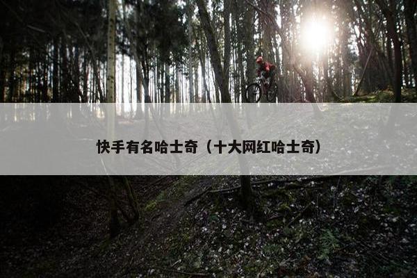 快手有名哈士奇（十大网红哈士奇）