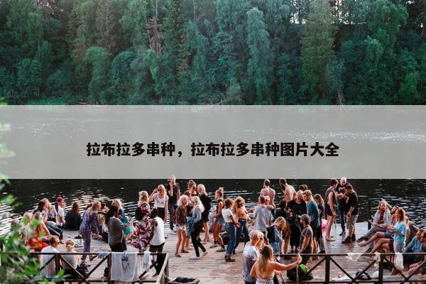 拉布拉多串种，拉布拉多串种图片大全