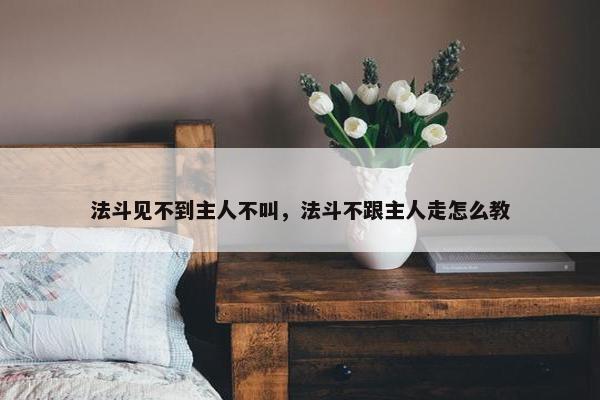 法斗见不到主人不叫，法斗不跟主人走怎么教