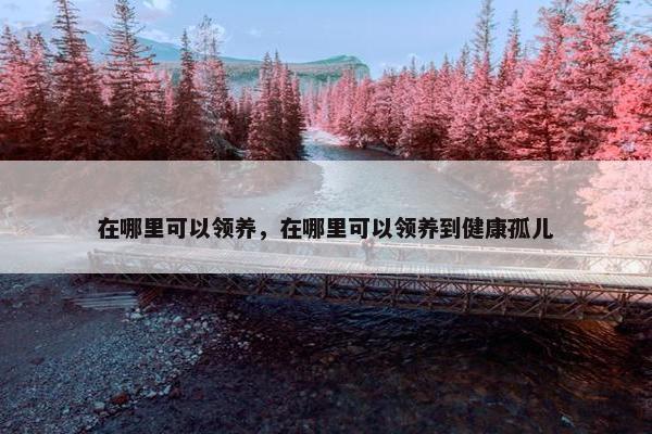 在哪里可以领养，在哪里可以领养到健康孤儿