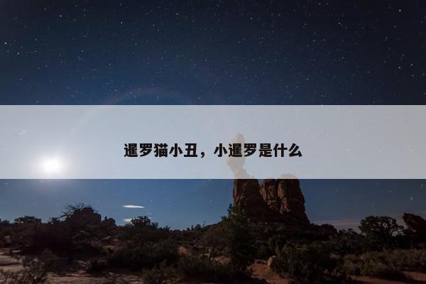 暹罗猫小丑，小暹罗是什么