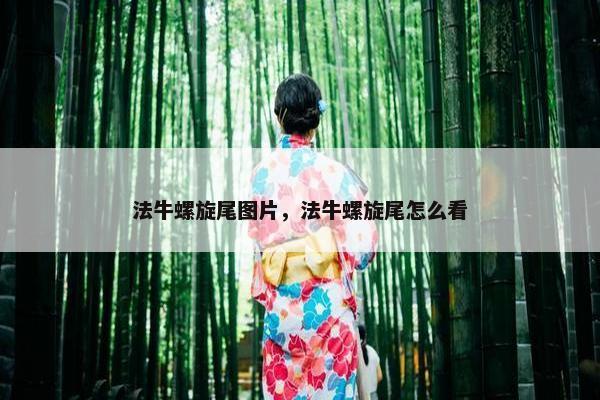法牛螺旋尾图片，法牛螺旋尾怎么看