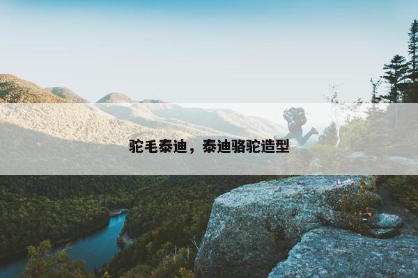 驼毛泰迪，泰迪骆驼造型