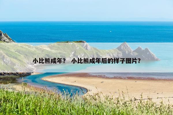 小比熊成年？ 小比熊成年后的样子图片？