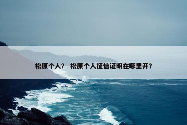 松原个人？ 松原个人征信证明在哪里开？