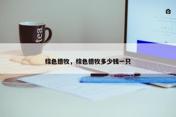 棕色德牧，棕色德牧多少钱一只