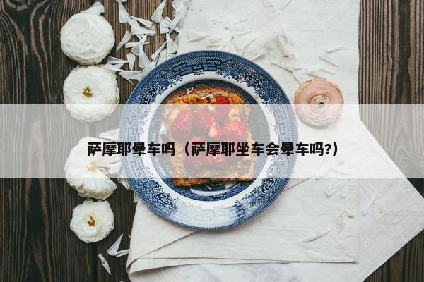 萨摩耶晕车吗（萨摩耶坐车会晕车吗?）