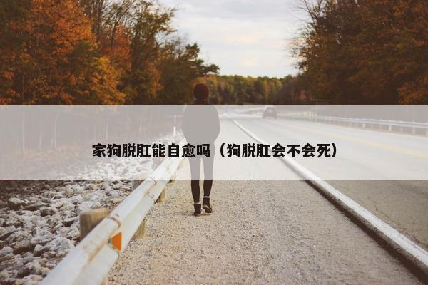 家狗脱肛能自愈吗（狗脱肛会不会死）
