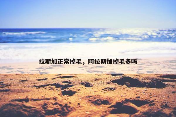拉斯加正常掉毛，阿拉斯加掉毛多吗