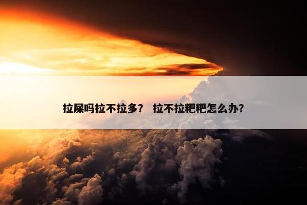 拉屎吗拉不拉多？ 拉不拉粑粑怎么办？