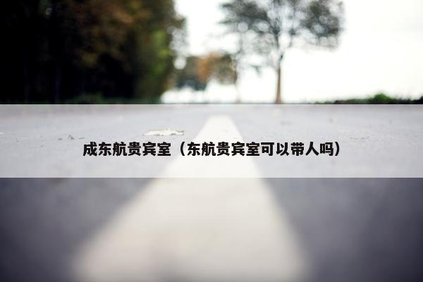 成东航贵宾室（东航贵宾室可以带人吗）