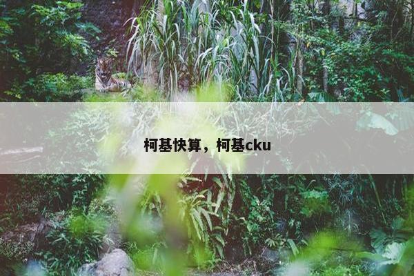 柯基快算，柯基cku
