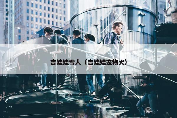 吉娃娃雪人（吉娃娃宠物犬）