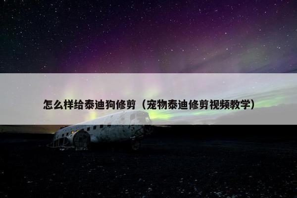 怎么样给泰迪狗修剪（宠物泰迪修剪视频教学）