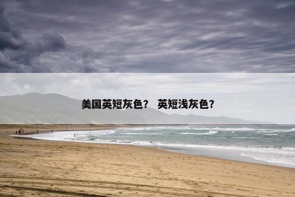 美国英短灰色？ 英短浅灰色？