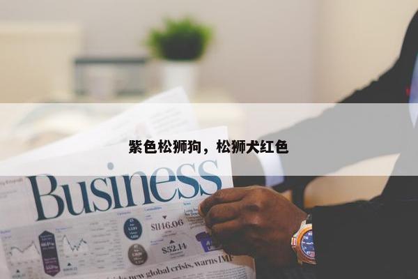 紫色松狮狗，松狮犬红色