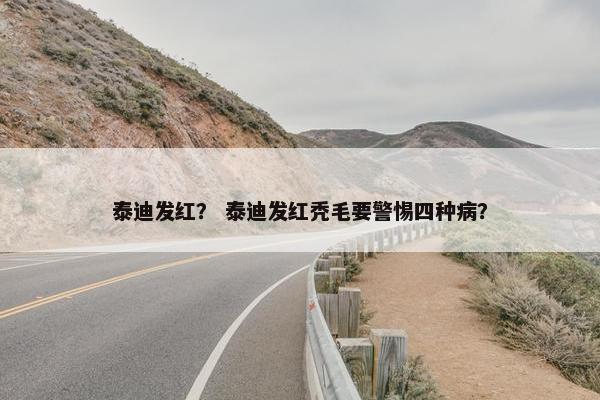 泰迪发红？ 泰迪发红秃毛要警惕四种病？