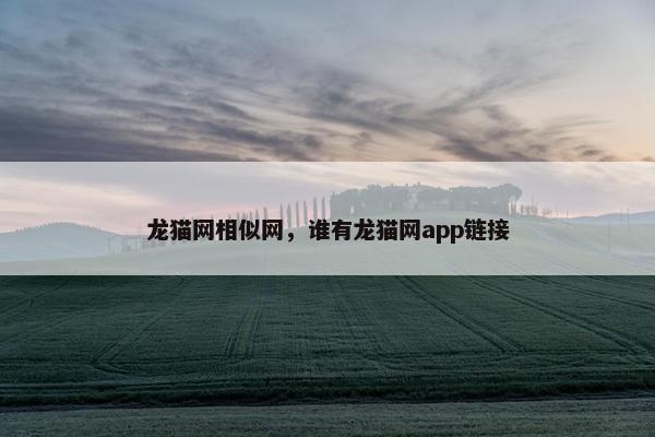 龙猫网相似网，谁有龙猫网app链接