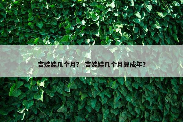 吉娃娃几个月？ 吉娃娃几个月算成年？