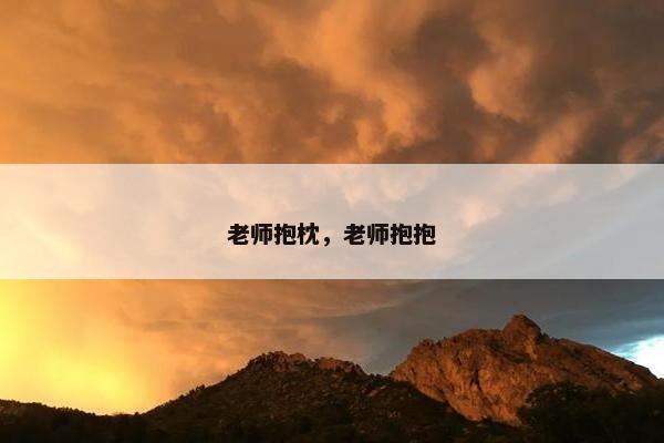 老师抱枕，老师抱抱