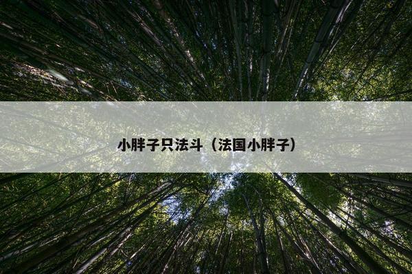 小胖子只法斗（法国小胖子）