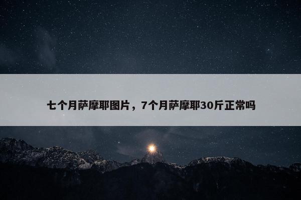 七个月萨摩耶图片，7个月萨摩耶30斤正常吗