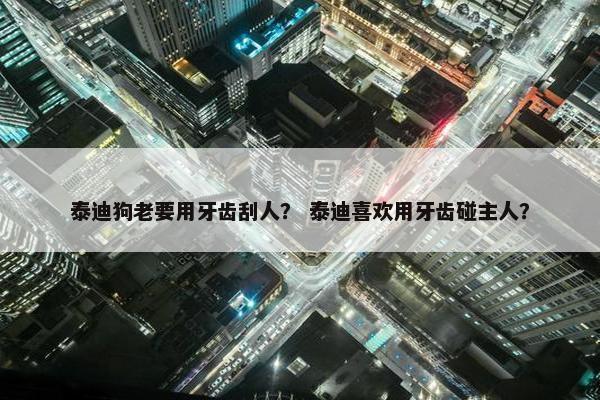 泰迪狗老要用牙齿刮人？ 泰迪喜欢用牙齿碰主人？