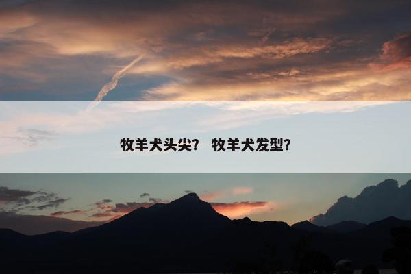 牧羊犬头尖？ 牧羊犬发型？