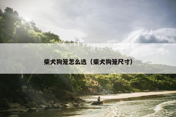 柴犬狗笼怎么选（柴犬狗笼尺寸）