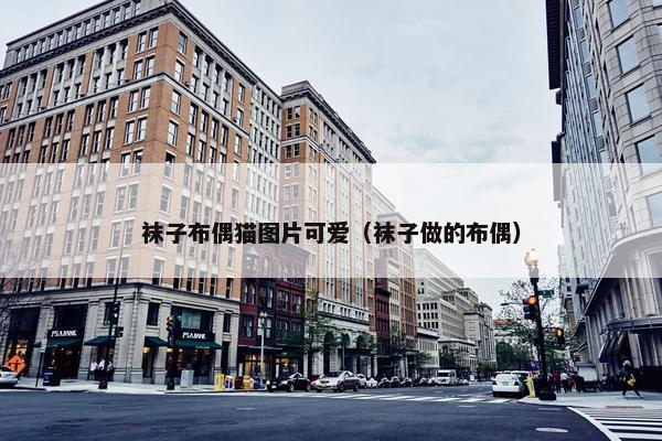 袜子布偶猫图片可爱（袜子做的布偶）