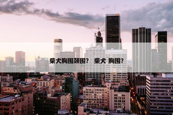 柴犬胸围颈围？ 柴犬 胸围？