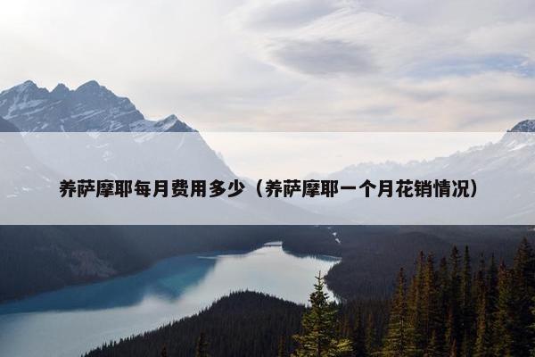 养萨摩耶每月费用多少（养萨摩耶一个月花销情况）