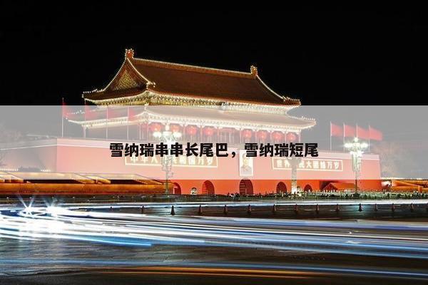 雪纳瑞串串长尾巴，雪纳瑞短尾