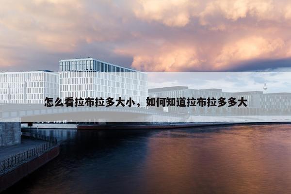 怎么看拉布拉多大小，如何知道拉布拉多多大