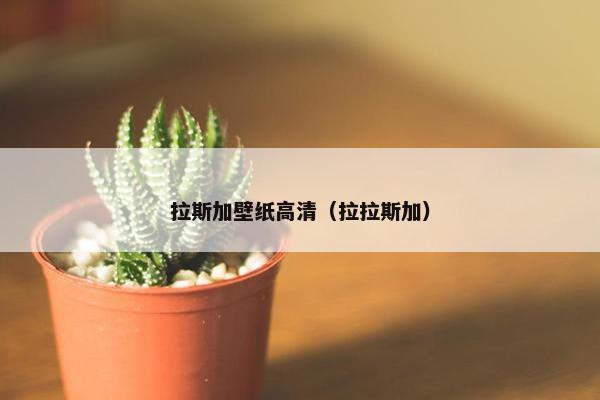拉斯加壁纸高清（拉拉斯加）