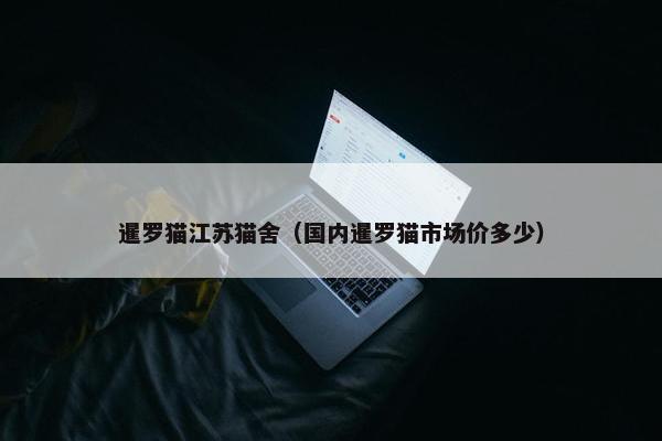 暹罗猫江苏猫舍（国内暹罗猫市场价多少）
