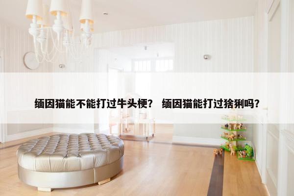 缅因猫能不能打过牛头梗？ 缅因猫能打过猞猁吗？